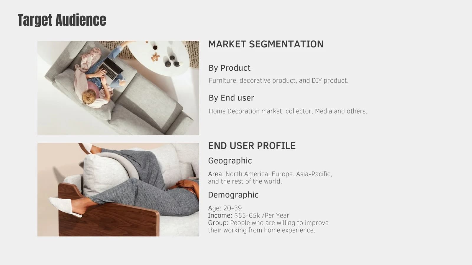 Target-audience board describing market segments and an intended work-from-home audience.