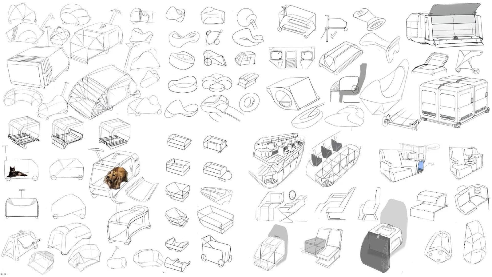 Sketch sheet exploring enclosed pet carriers, handles, wheels, luggage combinations and alternative expanding or folding compartments.